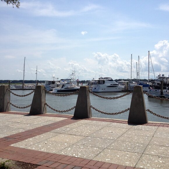 Meet your Posher, Posh - Picture 3 of 3